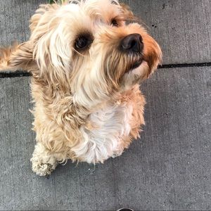 Meet your Posher, Nelca